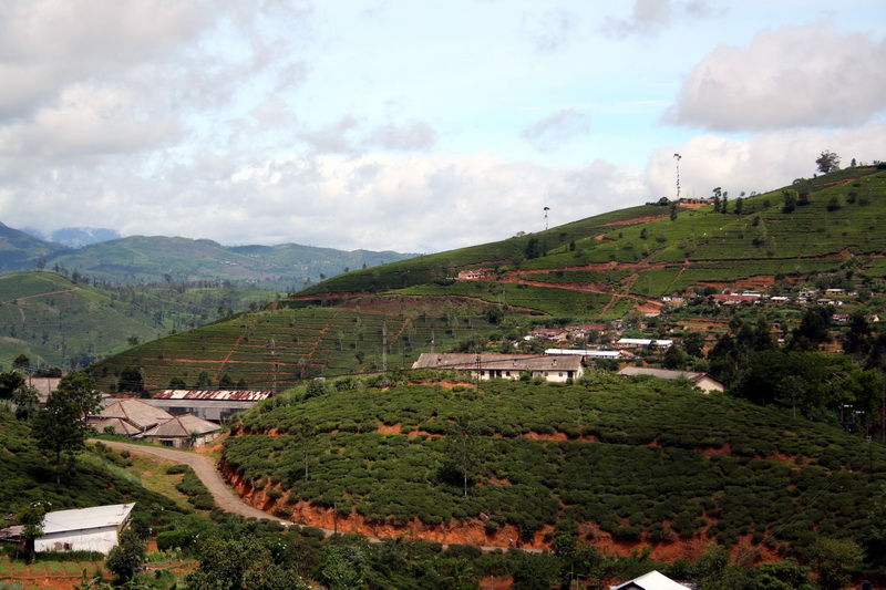 Sri Lanka, Nuwara Eliya